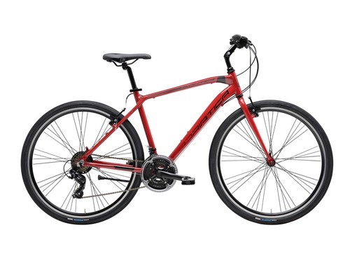 Bici ibrida cicli adriatica - cicli,