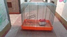 Gabbia roditori con ruota e casetta.
