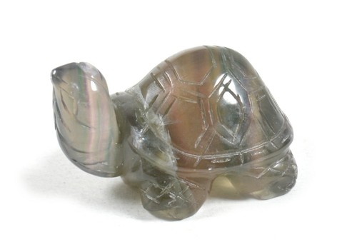 Tartaruga fluorite - in,