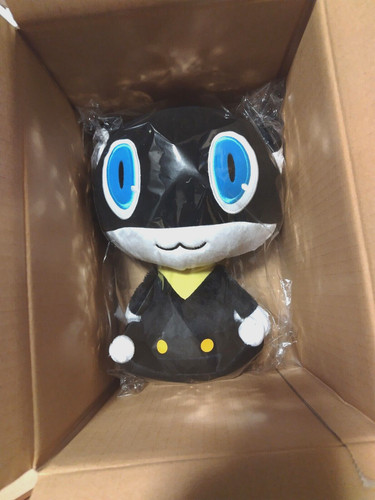 Usato persona morgana - usato,