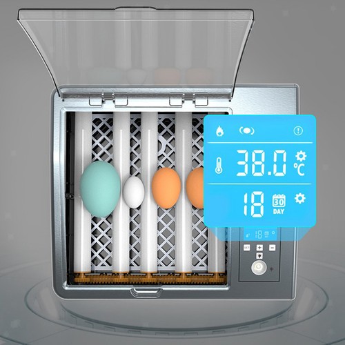 Incubatrice uova led - incubatrice,