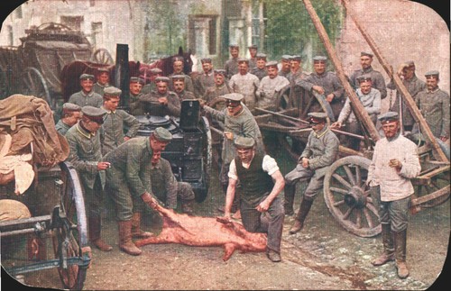 Festa della battaglia - festa,