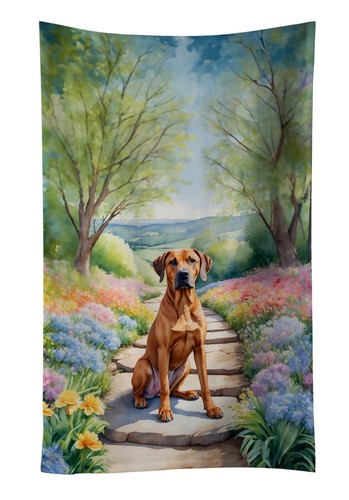 Rhodesian ridgeback spring - rhodesian,