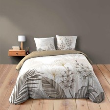 Douceur d'Intérieur Bastille