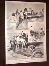 Pesca con la sciabica nell'Adriatico nel 1898 Caricamento e lavaggio rete Funi