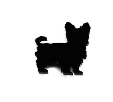 Yorkshire Terrier Cane Spilla Distintivo Pin Sciarpa Chiusura Regalo IN Nero