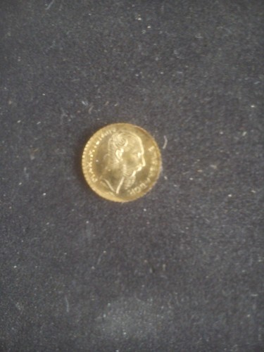 Moneta commemorativa oro - in,