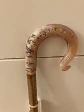 Corno di montone pastori