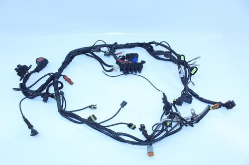 Fascio elettrico ducati - fascio,