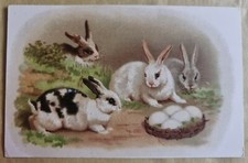 Cartolina augurale pasqua - pasqua,