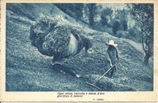 Scrittori, Poesie, V. Verni, "Ogni Messe Raccolta ...." Raccolta del Fieno