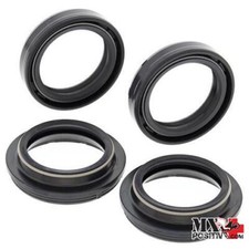 KIT PARAOLI E PARAPOLVERE