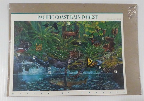 2000 pacific coast - coast, rain