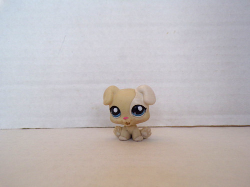 Littlest pet shop - pet, shop~#1706~baby