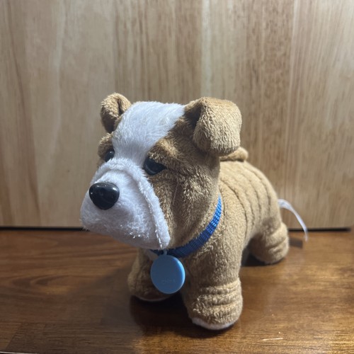 American girl dog - girl,