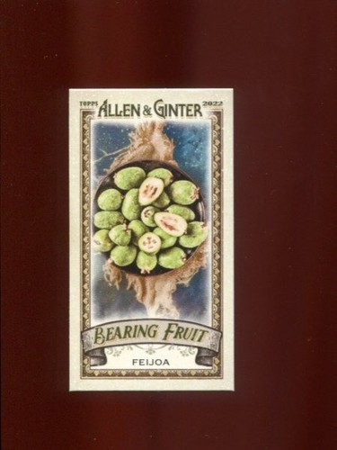 2022 topps allen ginter - allen,