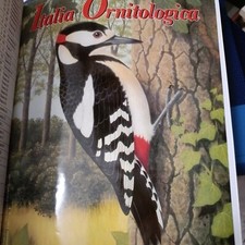 Italia ornitologica anno 1997