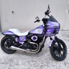 Scarico Protech 2 in 1 Harley-Davidson Dyna Superglide Low Rider Street Bob