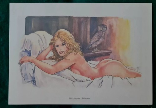Manara stampa non firmata - manara,
