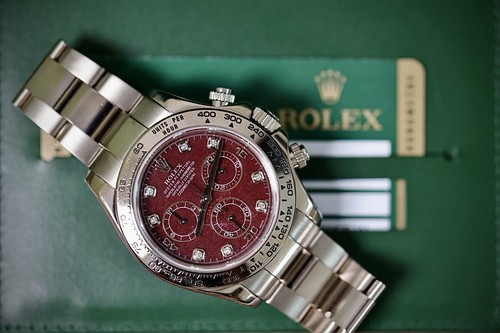 Rolex daytona 116509 rubellite - daytona,