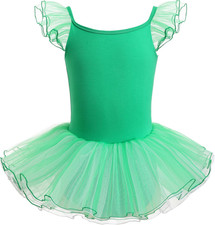 Ragazza Vestito Da Balletto