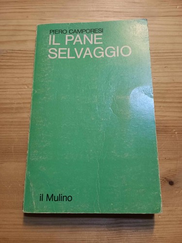 Pane selvaggio piero - pane, di