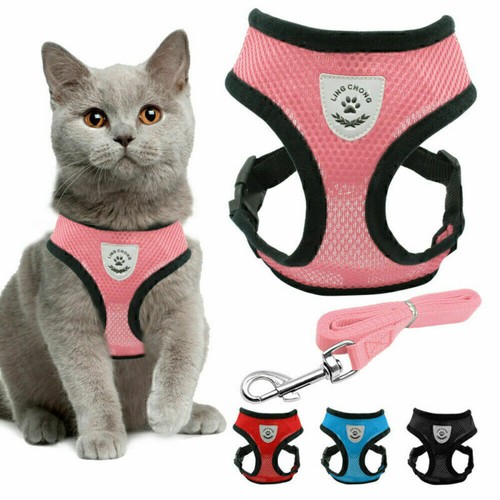 Pettorina per gatti con - 2x,