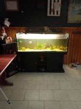 acquario usato 300 litri