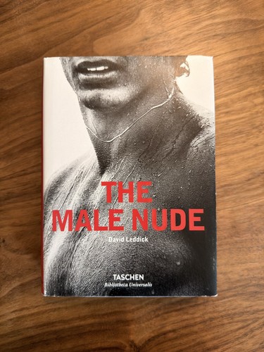 Male nude david - male, leddick