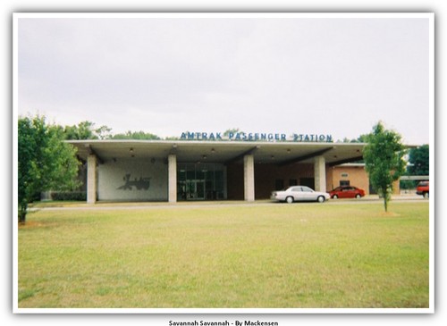 Cartolina savannah - cartolina,