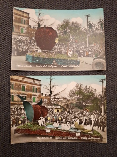 Monterotondo festa del - ,