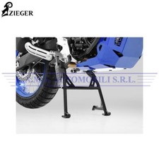 IBEX-Zieger - Cavalletto