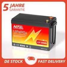 Batteria litio 12V 300Ah