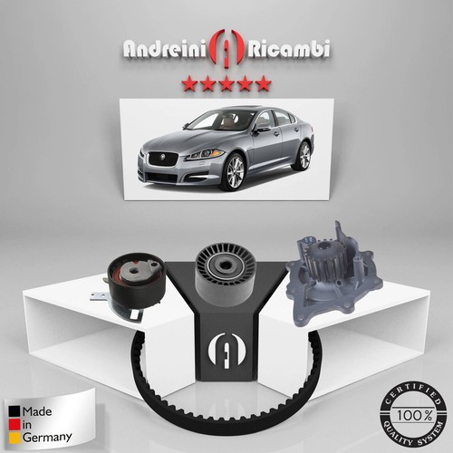 Kit distribuzione pompa - distribuzione,