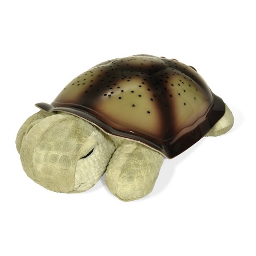 Cloud twilight turtle - b,