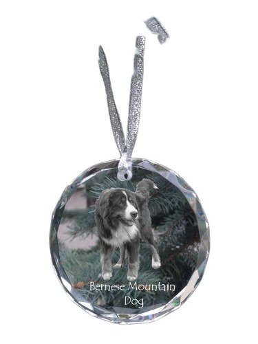 Bovaro bernese dürrbächler - bernese,,