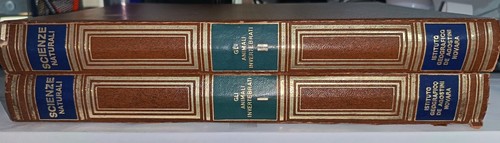 Enciclopedia italiana delle - enciclopedia,