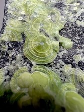 SCIOPERO! Onda radiante su