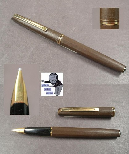 Penna stilografica waterman - penna,