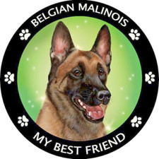 Limited  BELGIAN SHEPHERD PET