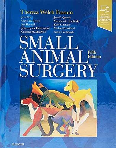 Small animal surgery - animal,