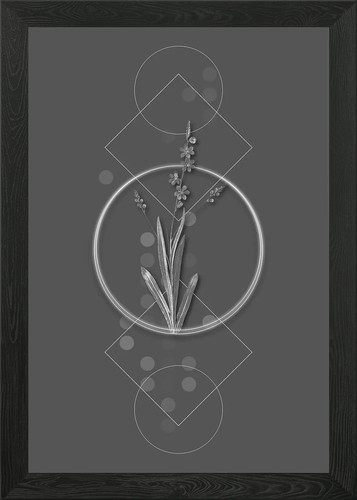 Poster geometrico ixia - poster,