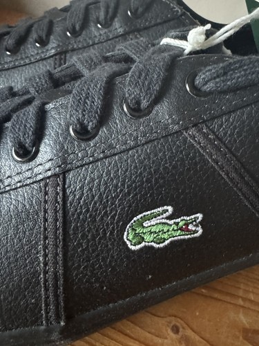 Scarpe ginnastica lacoste - scarpe,