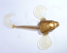 artificiali siliconici pesca