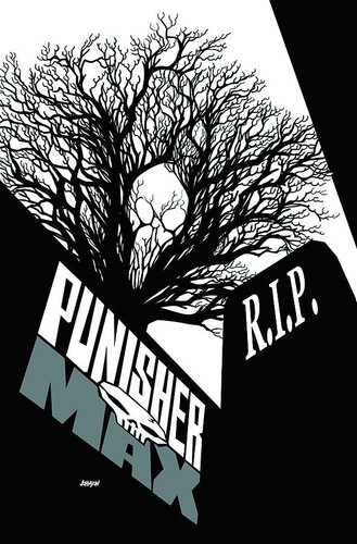 Punisher max 22 - punisher, #22
