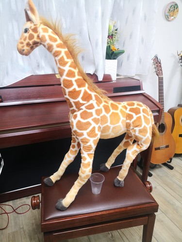 Peluche giraffa