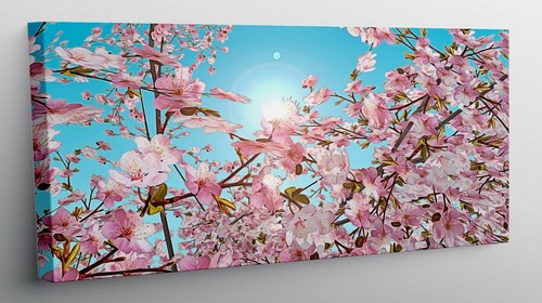 Quadro moderno stampa tela - quadro, su