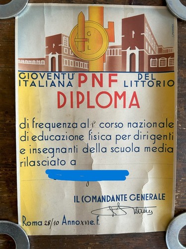 Diploma pnf 28 10 - diploma,