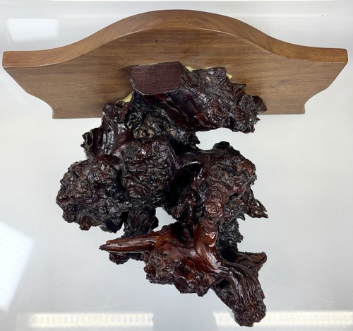 Mensola legno radica bordo - mensola,