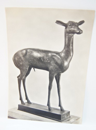 Museum napoli daino bronze - museum,